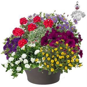 Afbeelding van HP30 XXL Mix 09